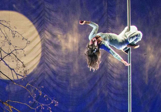 Une saison estivale autour du Cirque