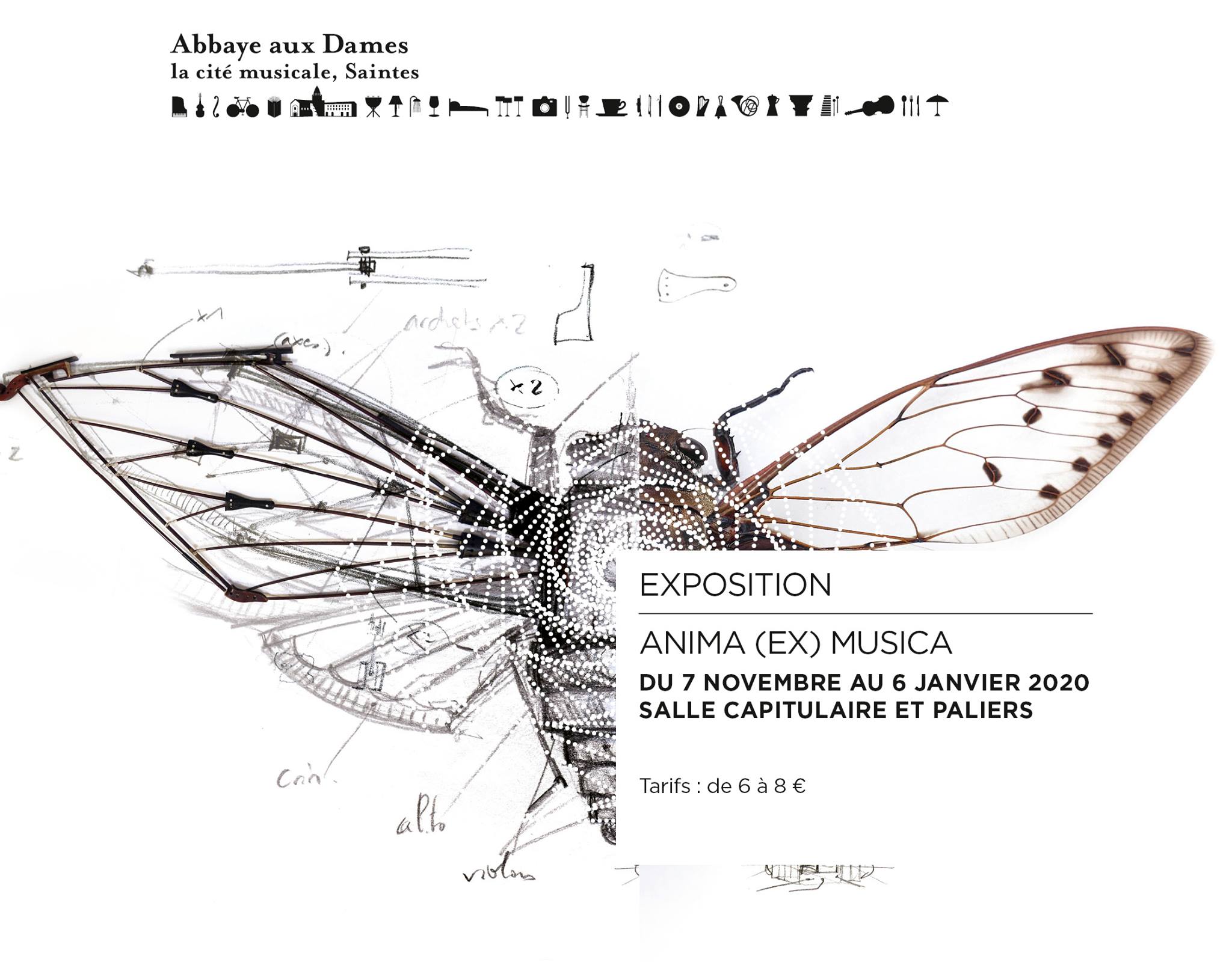 Exposition - Anima (ex) Musica