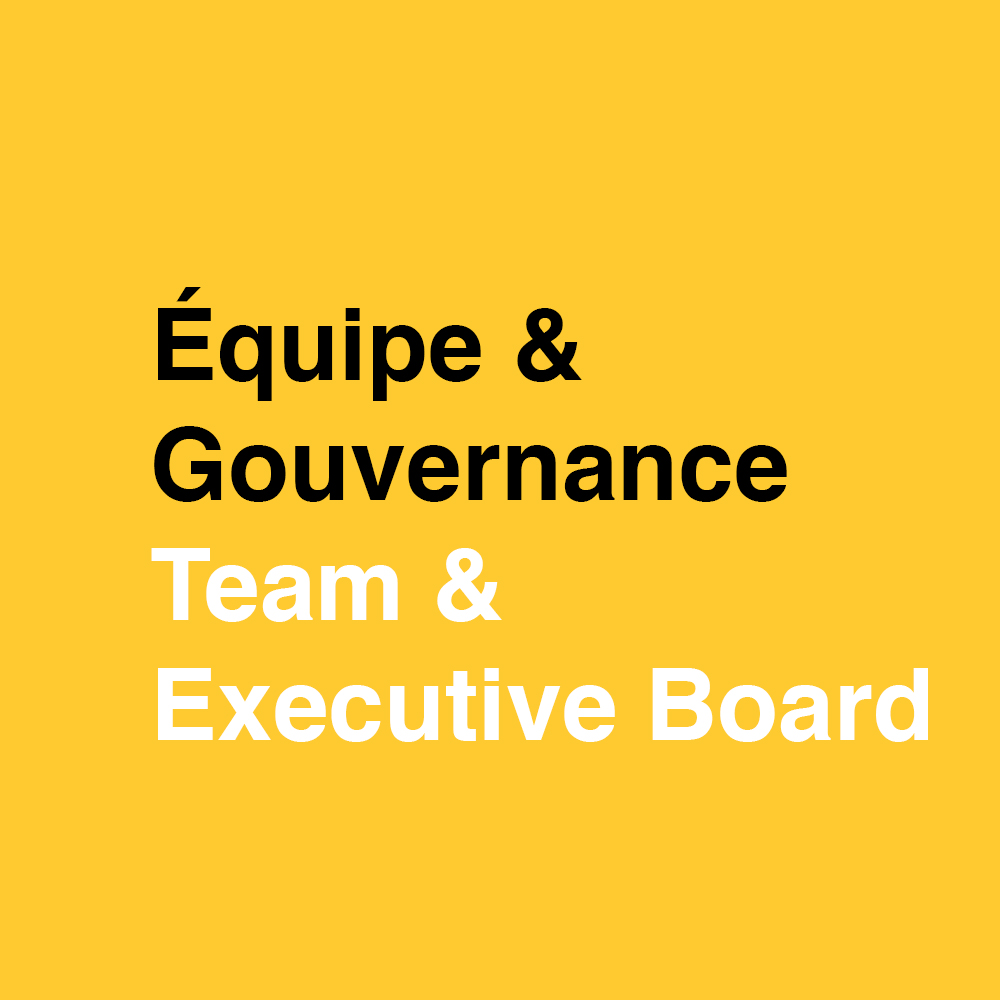 Team & Executive Board
