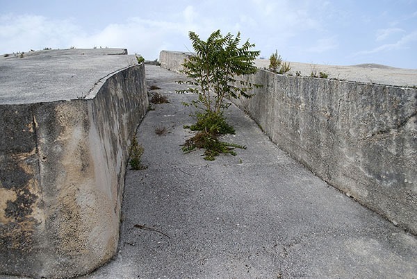 Vernissage exhibition - La Résilience des lieux