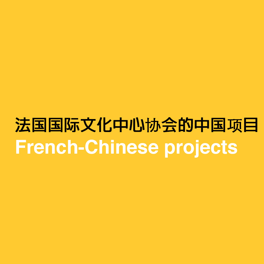 法国国际文化中心协会的中国项目(projet franco-chinois)