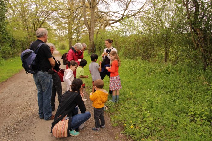 Parcours-jeu autour des animaux ovipares